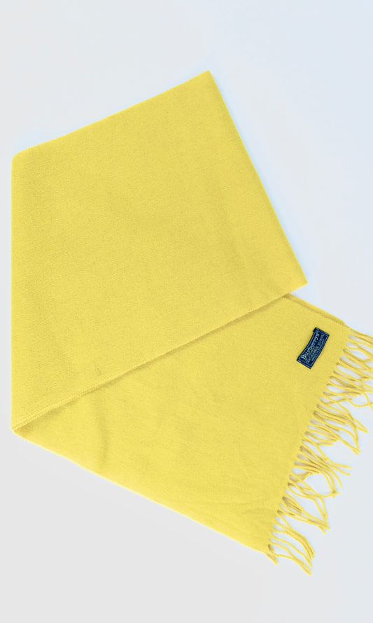 Vintage Burberry scarf